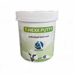 T-HEXX PUTTY