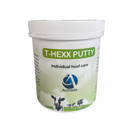 T-HEXX PUTTY