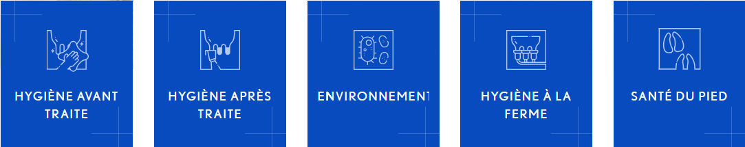 univers actrade 2025.png